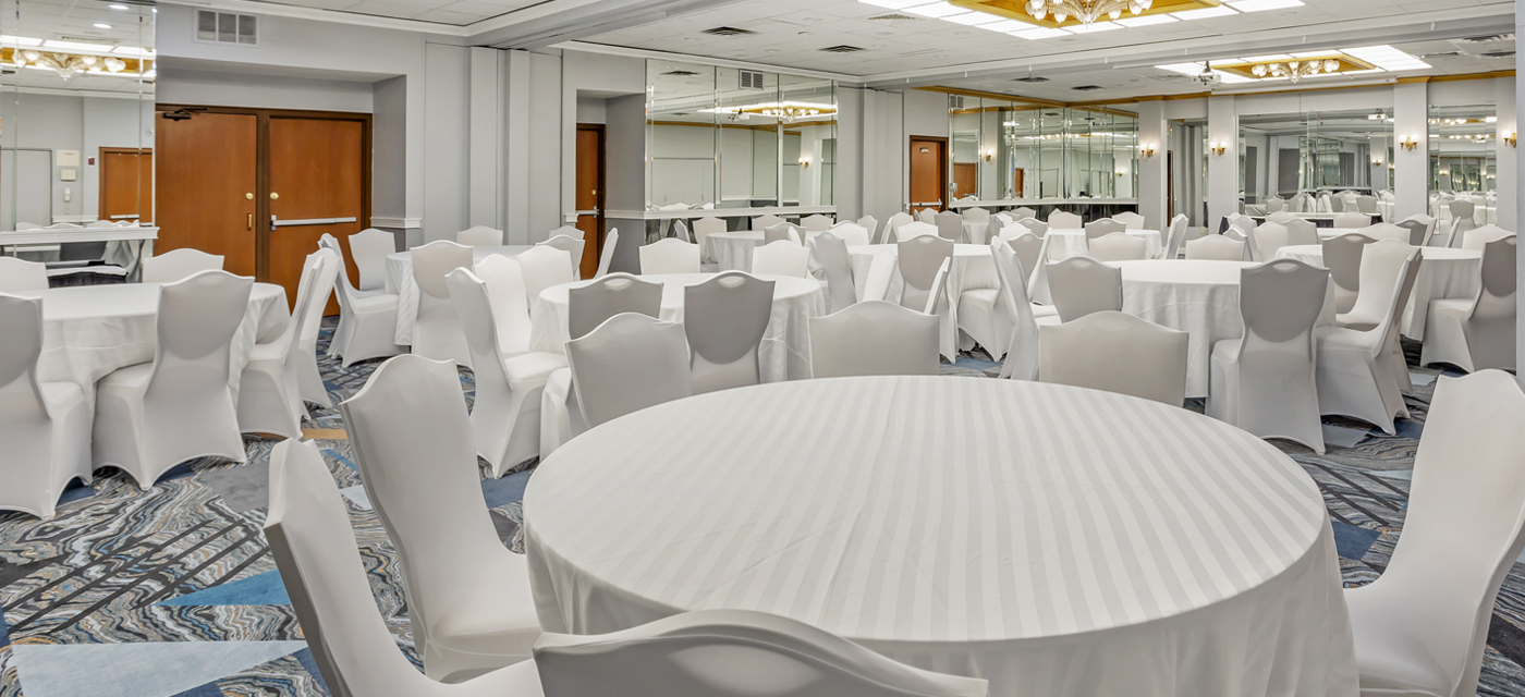 Spacious Conference Room